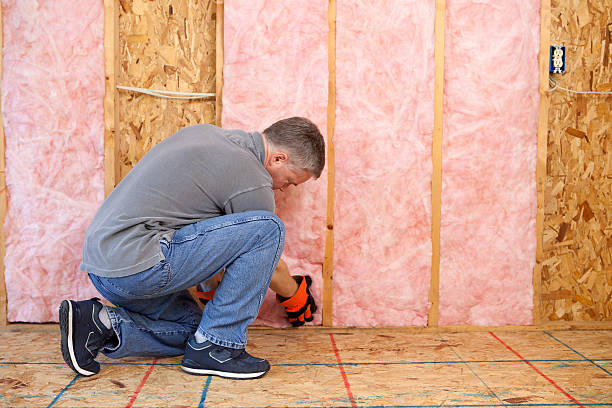 Best Insulation Maintenance and Repair in St Michaels, MD